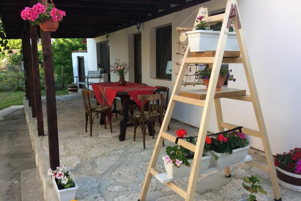 Guest House Kostadinovi Bŭlgarevo Exteriör bild